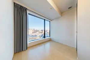 シティタワーズ豊洲　ザ・ツイン　サウスタワー