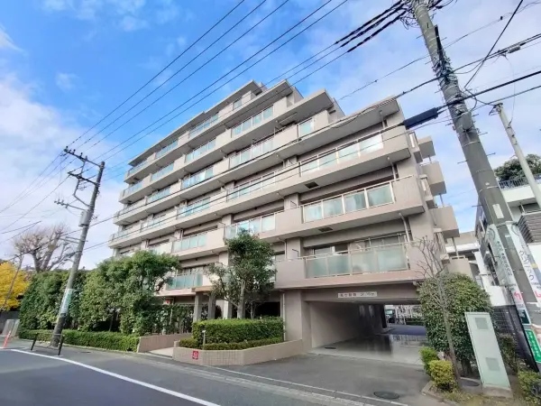 ヒルズ武蔵小杉