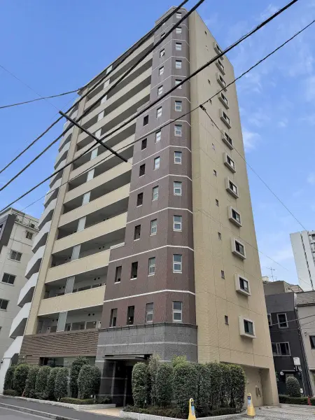 アデニウム新橋