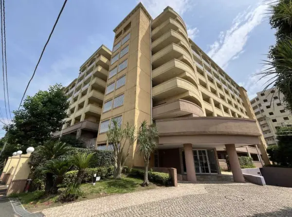 マークスプリングス・メゾンC