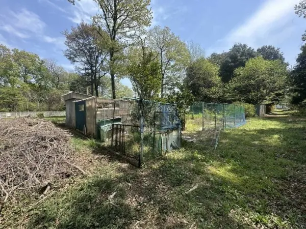 狭山市大字水野　土地