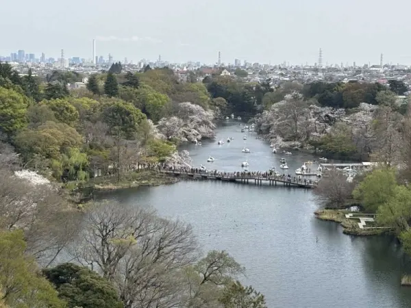メゾン井の頭