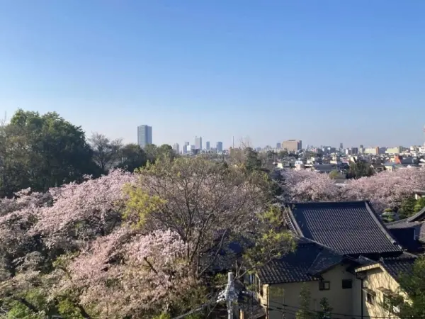 ディアシティ赤羽