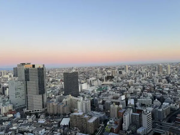 ザ・パークハウス西新宿タワー60