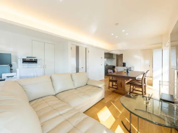 フラット田園調布