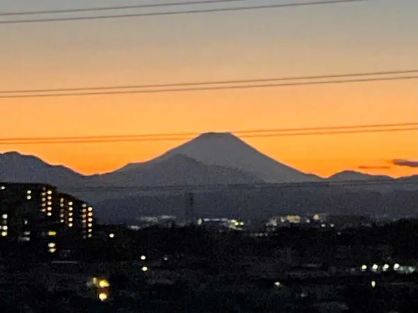 グローヴテラス国立