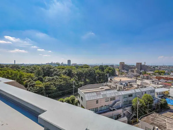 デュオ・フィールズ　グローヴシティ