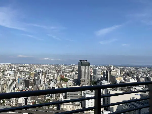 ラゾーナ川崎レジデンスセントラルタワー