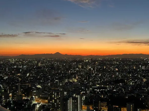 ザ・パークハウス西新宿タワー60