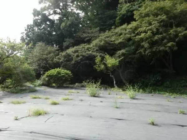 鎌倉市御成町　土地
