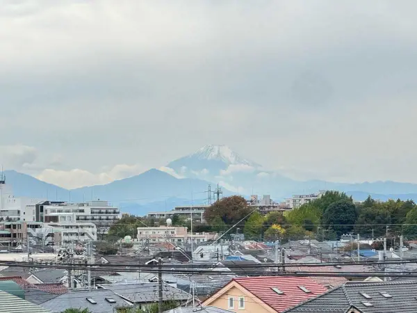 ステイツ花小金井ヴェルパセオ