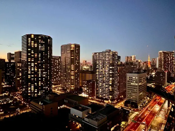 東京シーサウスブランファーレ