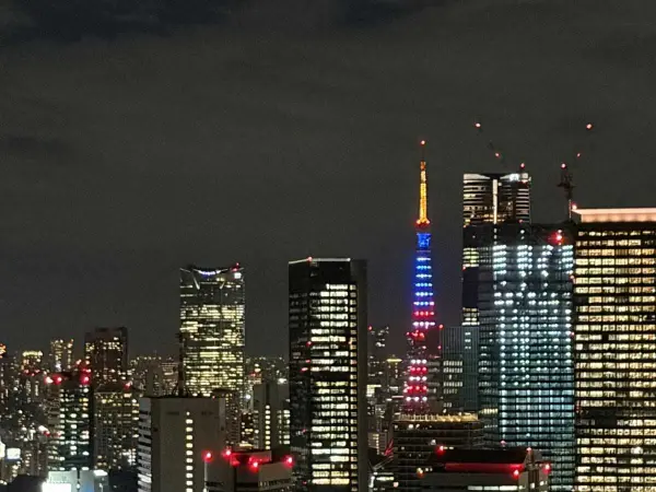 HARUMI FLAG PARK VILLAGE T棟