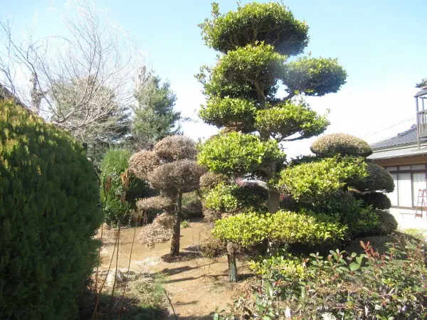 武蔵村山市中央2丁目　戸建