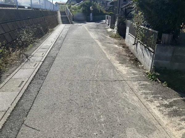 八潮市大字大瀬　土地