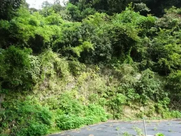鎌倉市御成町　土地