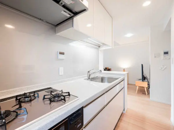 シティハウス板橋大山