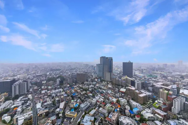 ザ・パークハウス西新宿タワー60