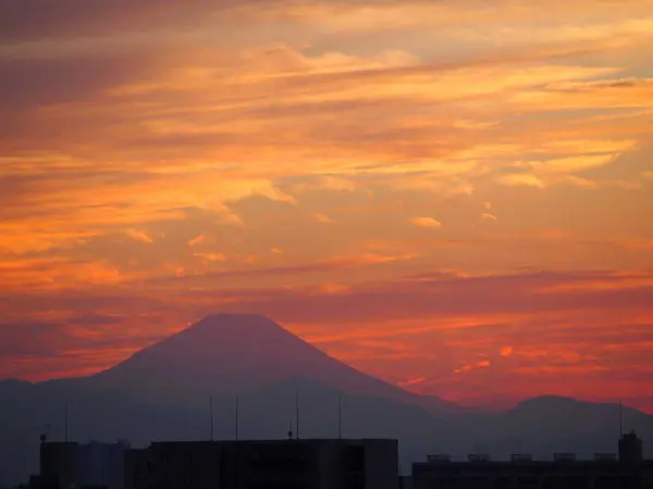 パークホームズ練馬豊島園ステーションプレミア