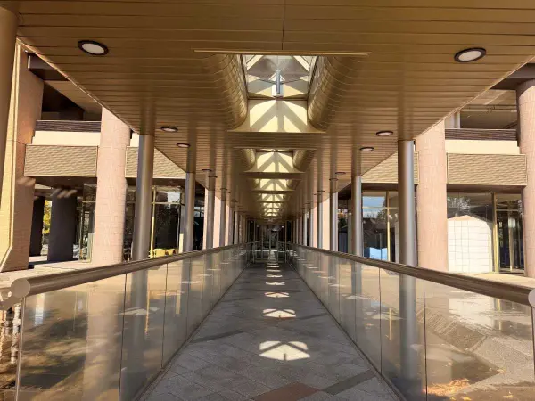 エルザタワー55