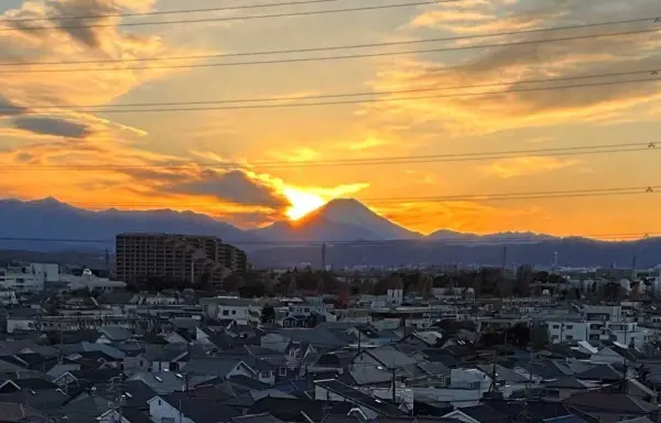 グローヴテラス国立