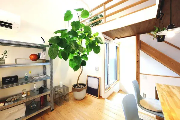 小平市小川町2丁目　戸建