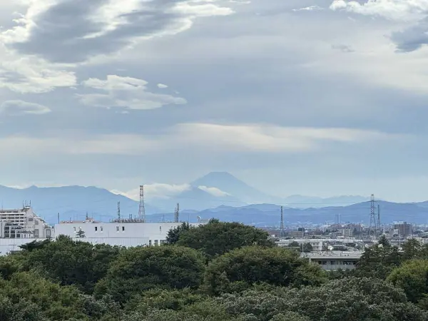 デュオ・フィールズ　グローヴシティ