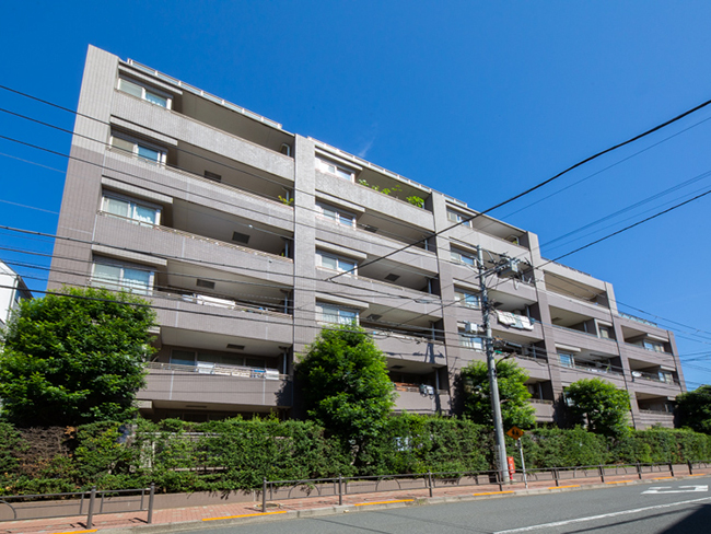 ワイドスパン住戸が38戸中、28戸。