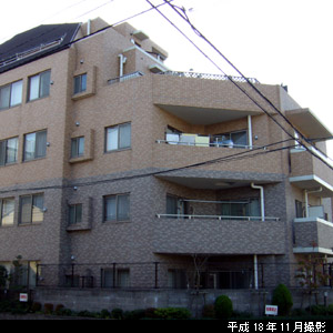 戸建て感覚のメゾネットタイプも
