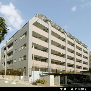 明るい南向き中心の陽射し溢れる生活舞台