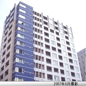 プラチナソリッドという意匠