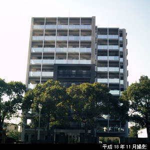 この恵まれた場所で、建物によるアートを目指しました