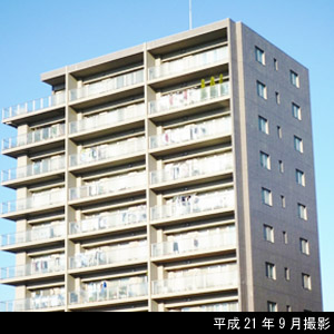 ライトアップされた樹木が都会の洗練された印象