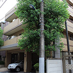 Ｄ’クラディア氷川台レジデンス