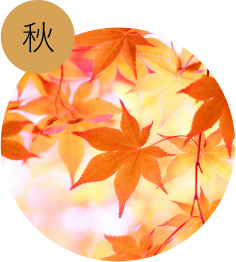 秋