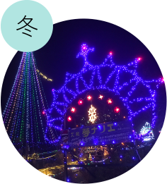 冬