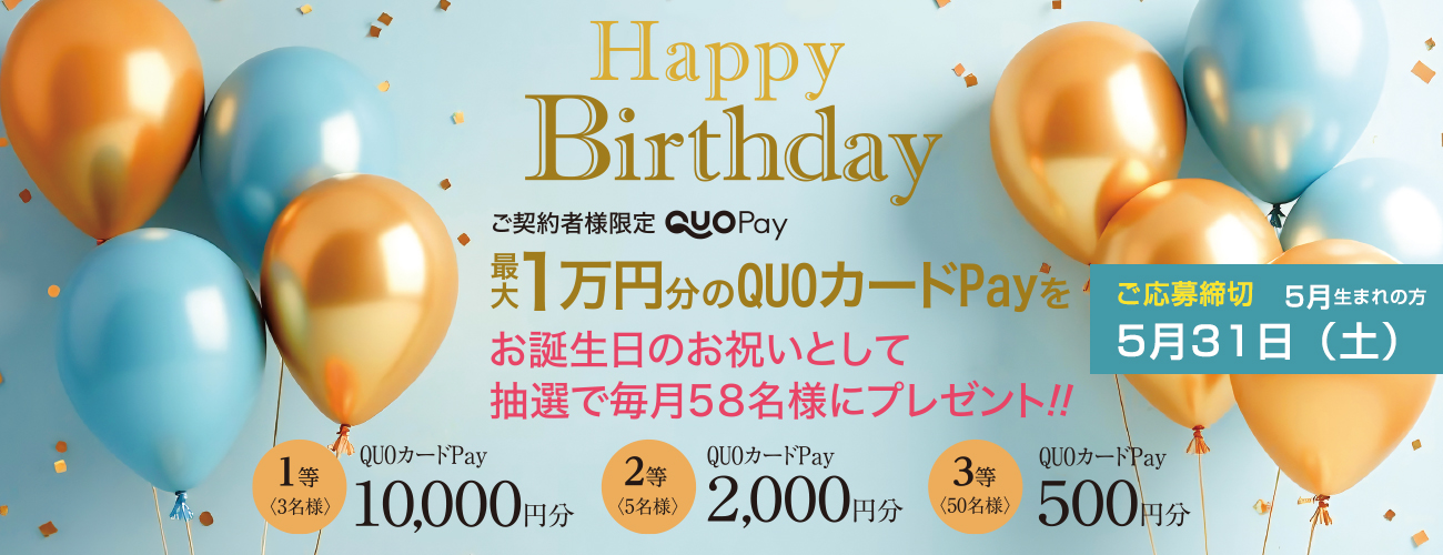 ͸QUOPayץ쥼